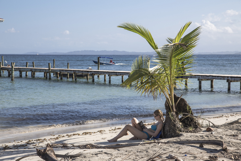 Woman on a beach, resting against a palm tree and reading