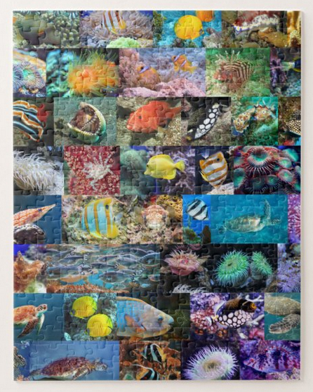 Marine fish and animals in coral reefs, puzzle for age 8, 252 pieces