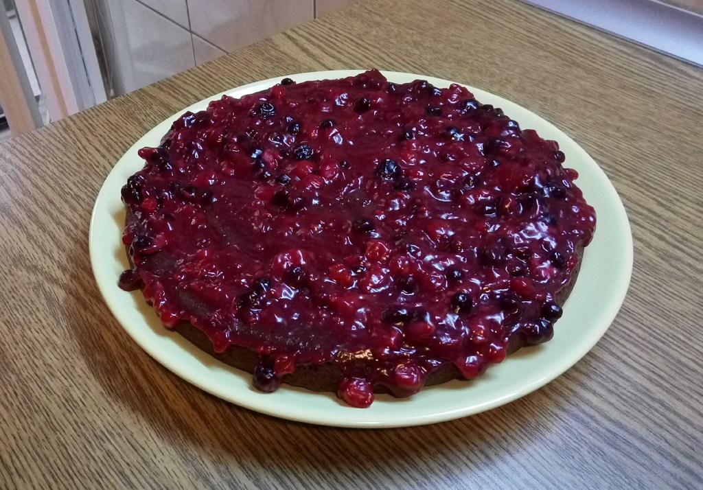 Healthy gluten-free, sugar-free cocoa cake with forest fruit