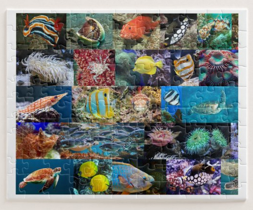 Coral reef life, marine fish and animals, puzzle for age 6, 110 pieces