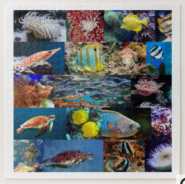 Marine life (fish and animals) in coral reefs, puzzle for age 11,. 676 pieces