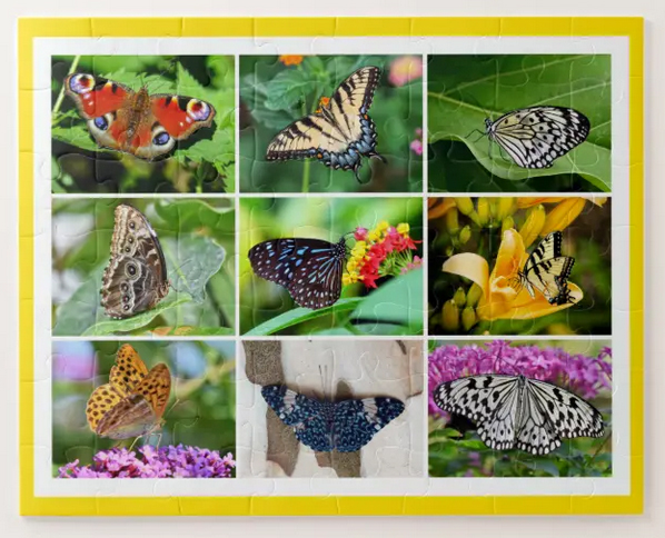 Easy puzzle for ages 5+ with photos of butterflies; 56 pieces