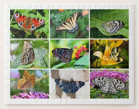 Gorgeous collage of butterfly photos for kids aged 8 or 9; 252 pieces