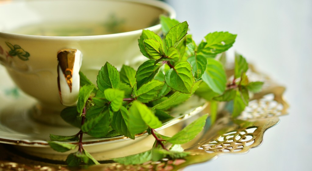 Photo of a cup of peppermint tea with some of the plant's leaves on the saucer