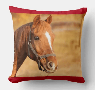 Personalized pillow for kids who love horses