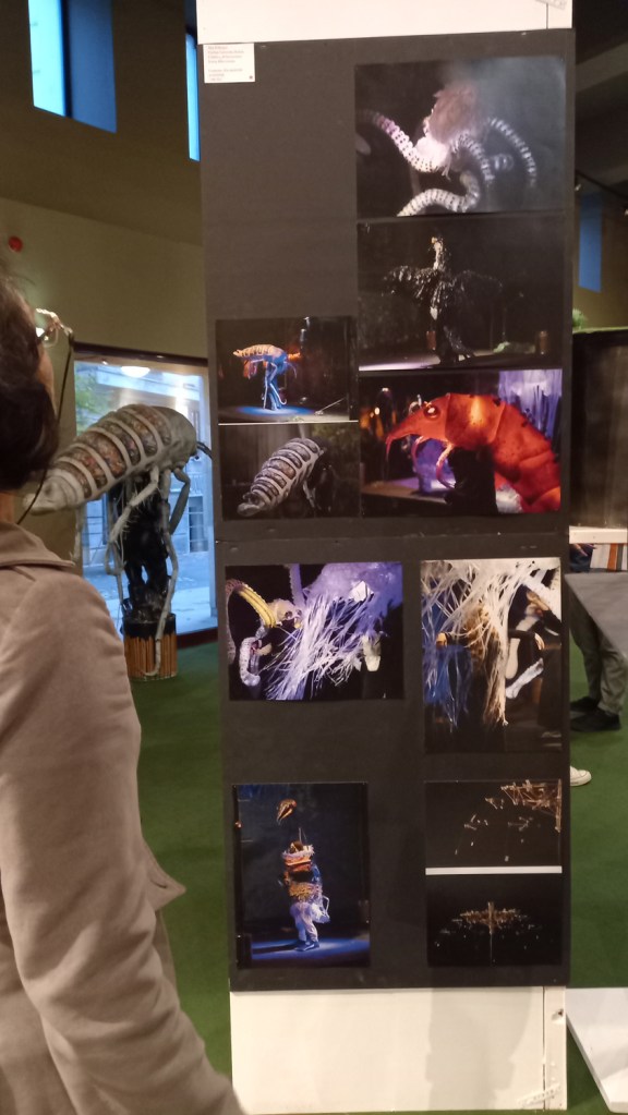 Costumes made with recyclable materials