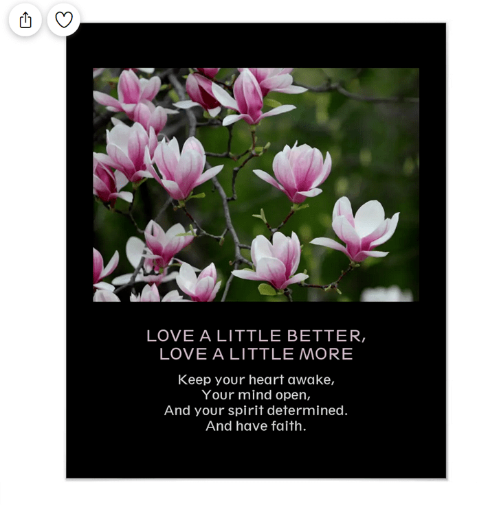 Love a little better, love a little more inspirational quote photo poster with magnolia blossoms and words about the heart, mind, spirit, and faith