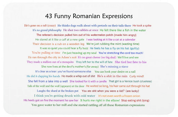 Photo magnet with 43 funny Romanian expressions. Popular Romanian humor (literal translations)