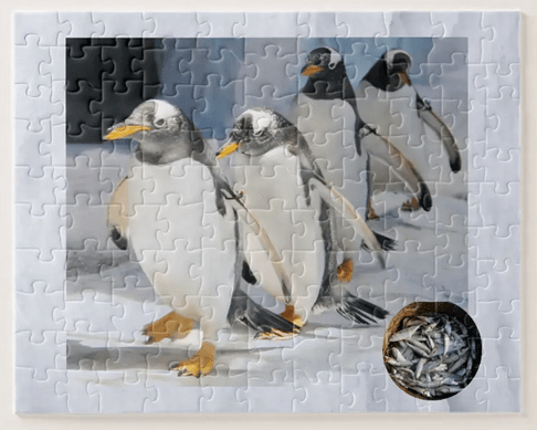 Puzzle for 6-year-olds with four penguins at a zoo on ice and snow and a basket of fish (sardines)