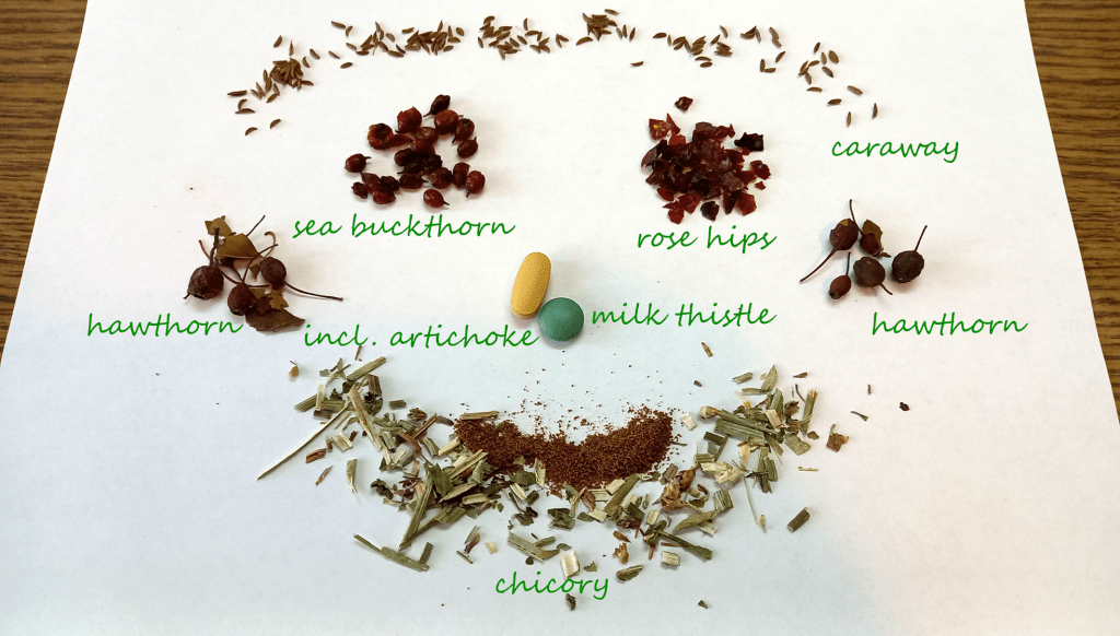 Artsy plant collage with seven medicinal plants popular in Romania: caraway, sea buckthorn, rose hips, hawthorn, artichoke, milk thistle, and chicory (includes two pills)