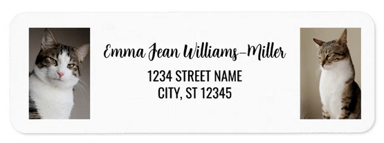 DIY online personalized name and address self-adhesive labels with 2 photos for your pets (here the templates have two cats). With a stylish cursive handwriting script for the name (black-color text)