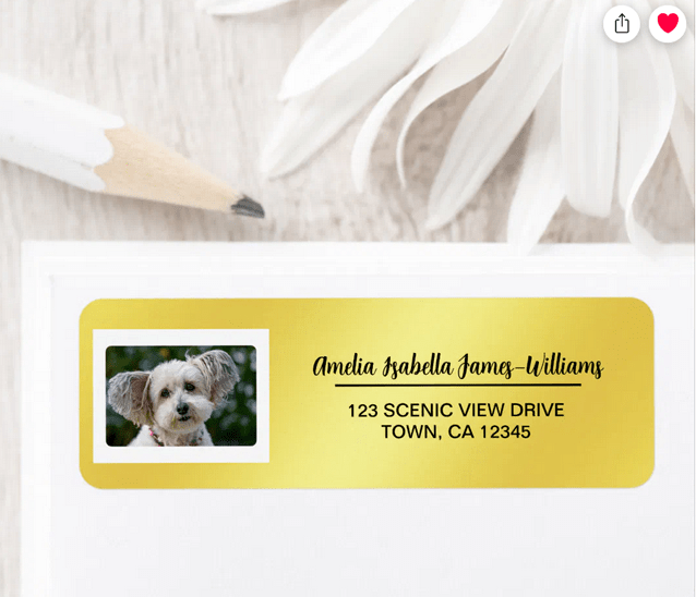 Elegant DIY return address labels with a pet dog or cat photo and the name in a stylish, modern cursive handwriting script. With a golden gradient for background