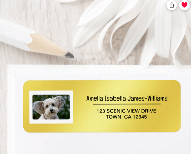 Elegant DIY return address sticky labels with a photo of your pet dog. On a stylish, modern shimmering golden background