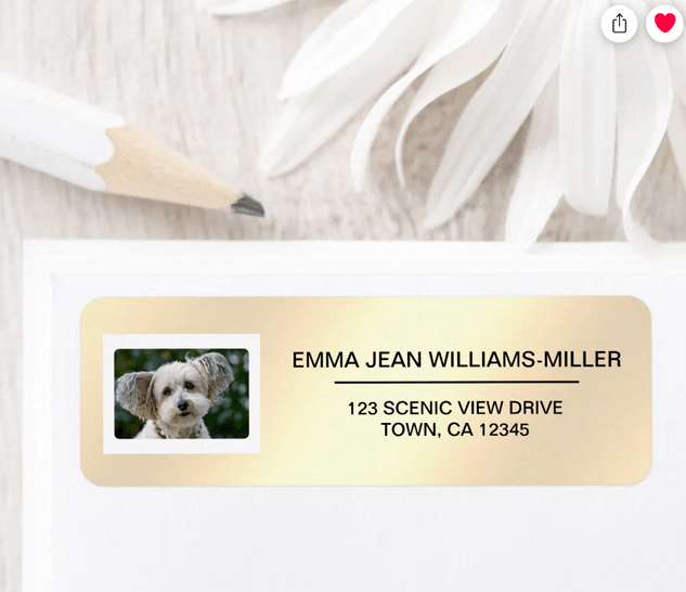Elegant DIY sticky labels with a photo of your pet dog or cat and your return address. Cute way to celebrate your pet or a new home. On a retro, sepia vintage background with peach and pink hues