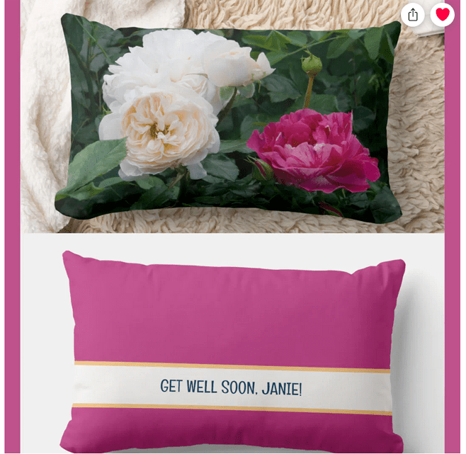 Modern, elegant Get Well Soon (or Happy Retirement / Enjoy Your Retirement) personalized name floral accent pillow, rectangular-shaped. Photo of cream and streaked pink roses. Deep pink color on the back