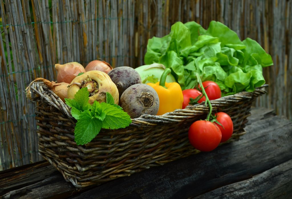 Basket of vegetables, including tomatoes, lettuce, beets, parsley root, onions, 1 bell pepper, and mint.