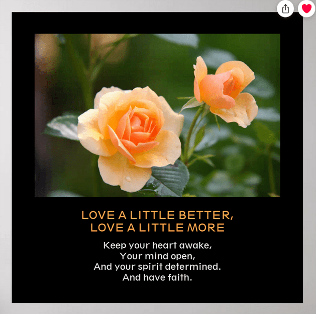 Poster with the inspirational slogan "Love a little better, Love a little more" and the stanza "Keep your heart awake, Your mind open, And your spirit determined. And have faith" With a beautiful photo of two orange roses after the rain